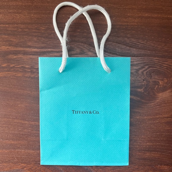 Tiffany & Co. Jewelry - Brand New Tiffany & Co. Small Jewelry Bag